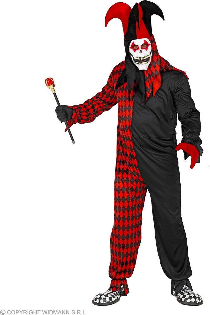 Harlequin Kostuum | Vreemde Gekke Clown Harry Kijn | Man | Large | Halloween | Verkleedkleding